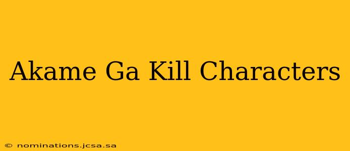 Akame Ga Kill Characters
