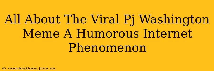 All About The Viral Pj Washington Meme A Humorous Internet Phenomenon