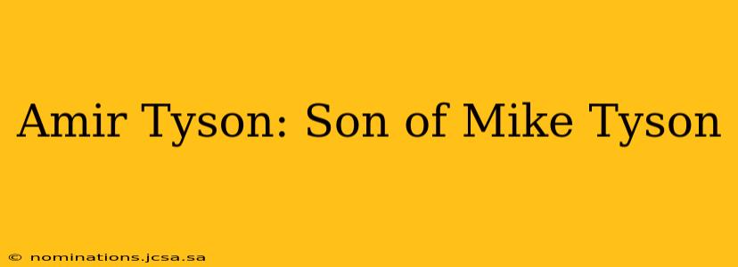Amir Tyson: Son of Mike Tyson