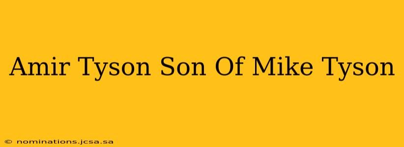 Amir Tyson Son Of Mike Tyson