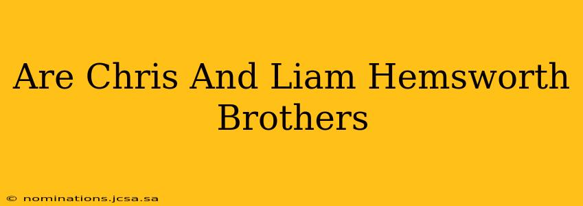 Are Chris And Liam Hemsworth Brothers