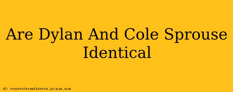 Are Dylan And Cole Sprouse Identical