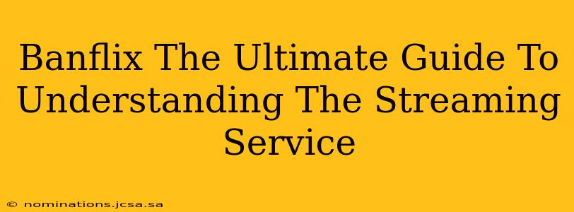 Banflix The Ultimate Guide To Understanding The Streaming Service
