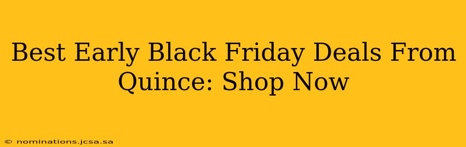Best Early Black Friday Deals From Quince: Shop Now