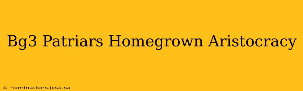 Bg3 Patriars Homegrown Aristocracy