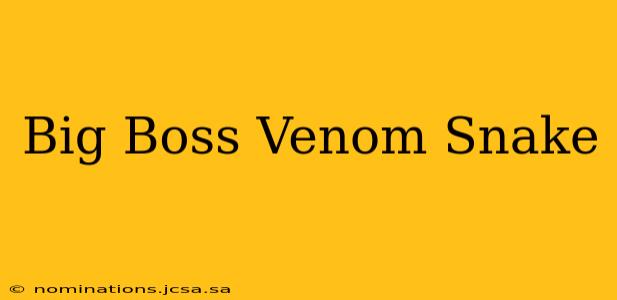 Big Boss Venom Snake