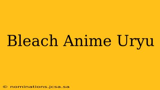 Bleach Anime Uryu