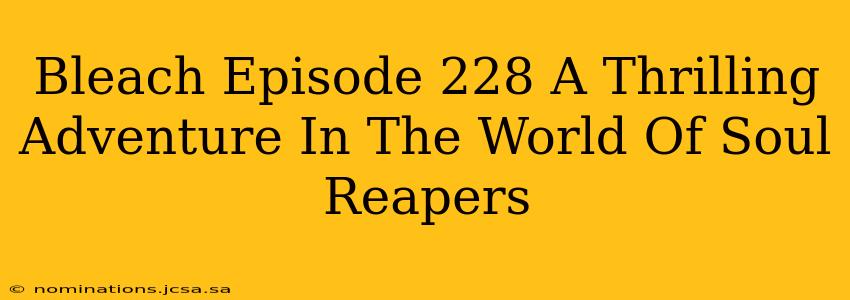 Bleach Episode 228 A Thrilling Adventure In The World Of Soul Reapers