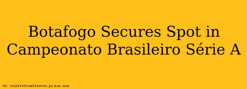 Botafogo Secures Spot in Campeonato Brasileiro Série A