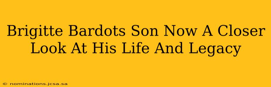 Brigitte Bardots Son Now A Closer Look At His Life And Legacy