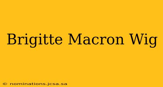Brigitte Macron Wig