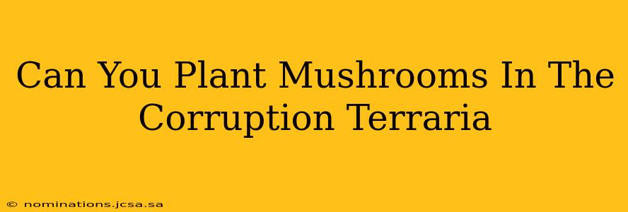 Can You Plant Mushrooms In The Corruption Terraria
