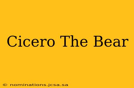 Cicero The Bear