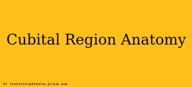 Cubital Region Anatomy