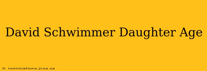 David Schwimmer Daughter Age