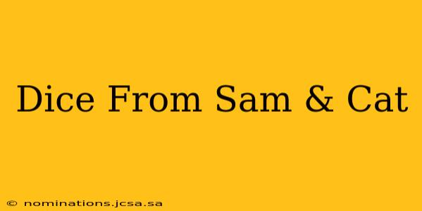 Dice From Sam & Cat