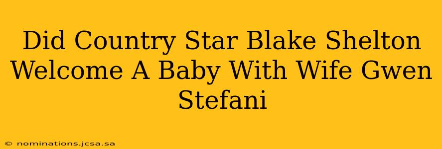 Did Country Star Blake Shelton Welcome A Baby With Wife Gwen Stefani