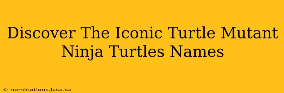 Discover The Iconic Turtle Mutant Ninja Turtles Names