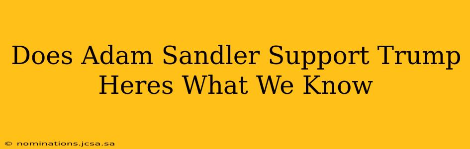 Does Adam Sandler Support Trump Heres What We Know