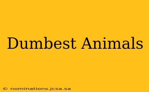 Dumbest Animals