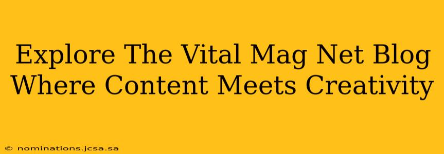Explore The Vital Mag Net Blog Where Content Meets Creativity