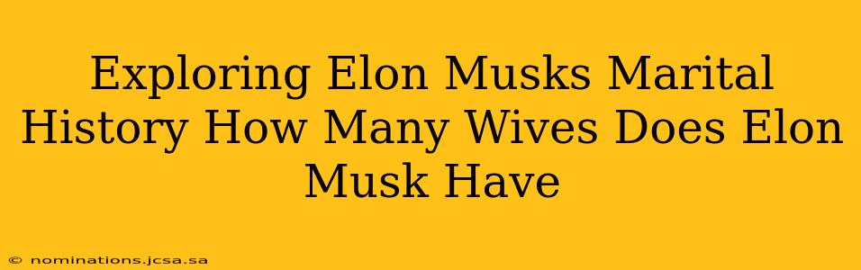 Exploring Elon Musks Marital History How Many Wives Does Elon Musk Have