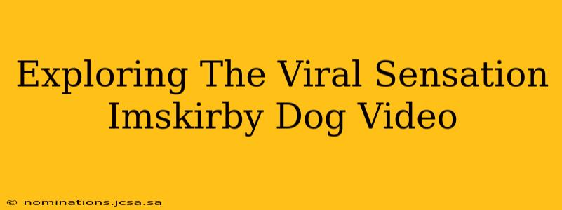Exploring The Viral Sensation Imskirby Dog Video