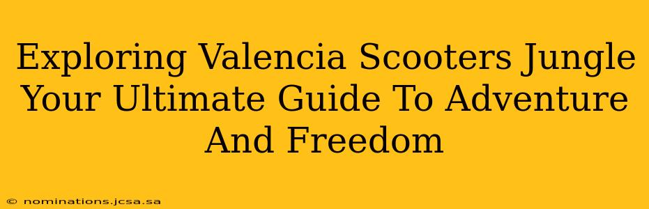 Exploring Valencia Scooters Jungle Your Ultimate Guide To Adventure And Freedom