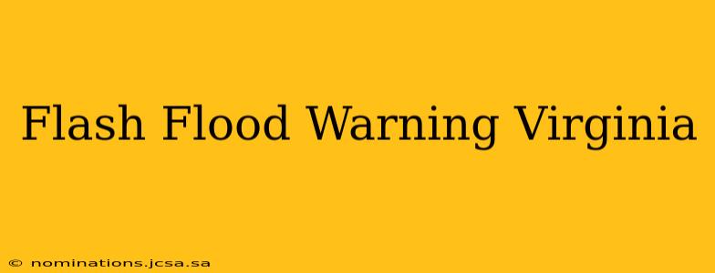 Flash Flood Warning Virginia