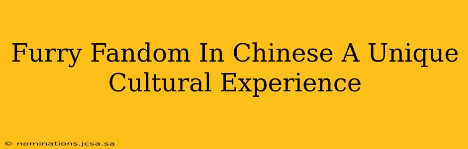Furry Fandom In Chinese A Unique Cultural Experience