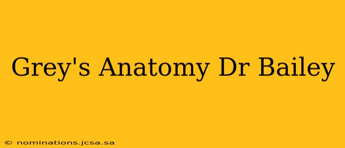 Grey's Anatomy Dr Bailey