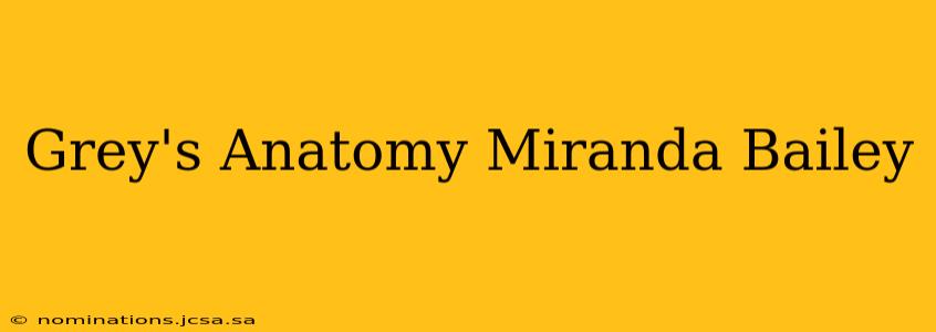 Grey's Anatomy Miranda Bailey
