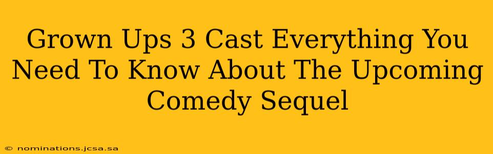 Grown Ups 3 Cast Everything You Need To Know About The Upcoming Comedy Sequel