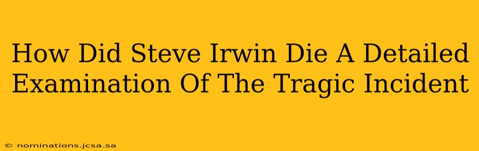 How Did Steve Irwin Die A Detailed Examination Of The Tragic Incident