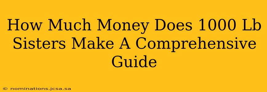 How Much Money Does 1000 Lb Sisters Make A Comprehensive Guide