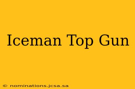 Iceman Top Gun
