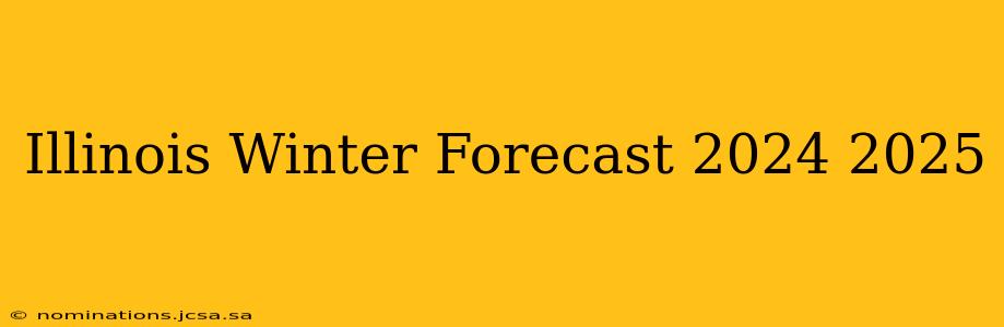 Illinois Winter Forecast 2024 2025