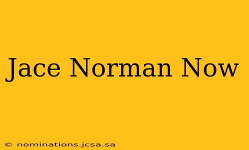 Jace Norman Now