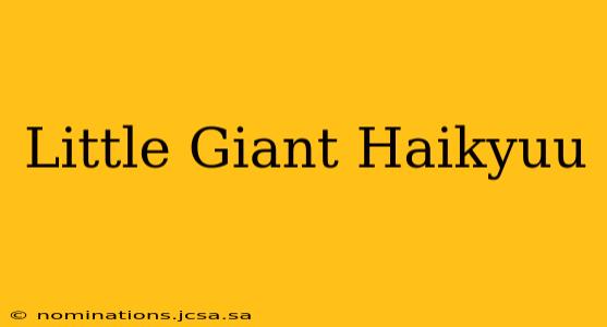 Little Giant Haikyuu