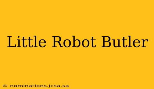 Little Robot Butler