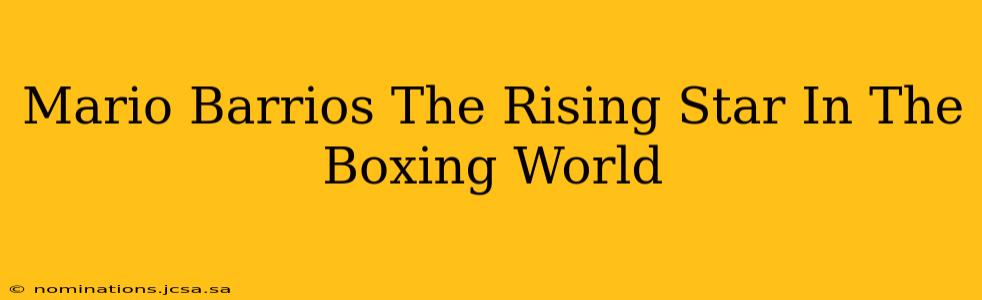 Mario Barrios The Rising Star In The Boxing World
