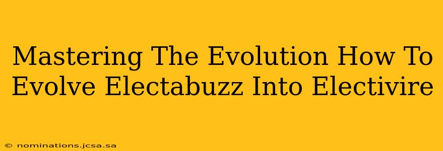 Mastering The Evolution How To Evolve Electabuzz Into Electivire