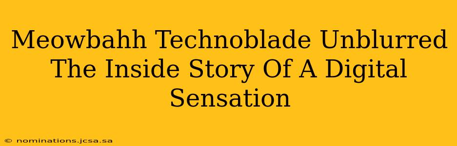 Meowbahh Technoblade Unblurred The Inside Story Of A Digital Sensation