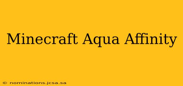 Minecraft Aqua Affinity