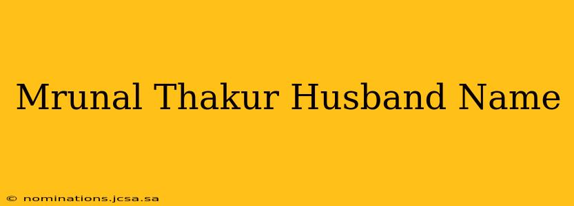 Mrunal Thakur Husband Name