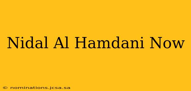 Nidal Al Hamdani Now