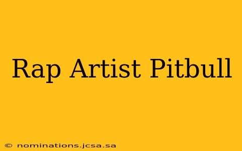 Rap Artist Pitbull