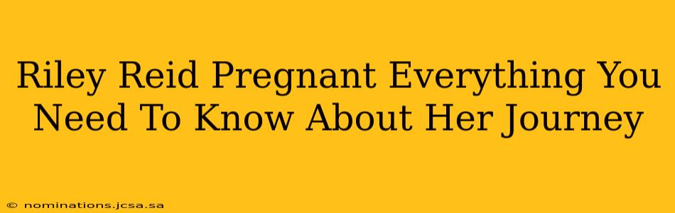 Riley Reid Pregnant Everything You Need To Know About Her Journey