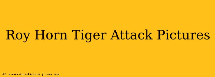 Roy Horn Tiger Attack Pictures