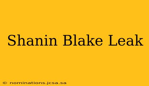 Shanin Blake Leak